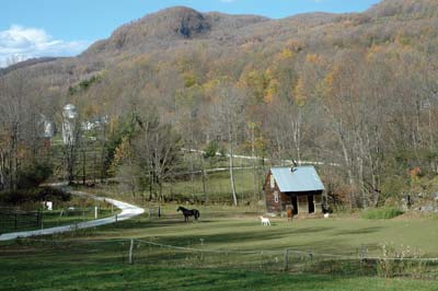 The Priests grow much of their own food-and brew their own beer-on BYB Farm.